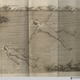 Illustration for article titled How Learning to Swim Changed Over the Course of American History